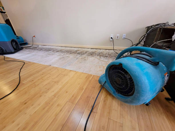 Professional Emergency Water Damage technician working in Highland, CA